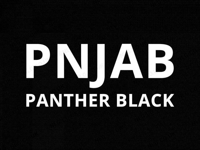 PNJAB Panther Black