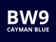 Nissan Navara Double Cab Leisure Hard Top BW9 Blue Paint Option