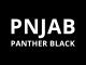 Ford Ranger Double Cab Alpha GSE/GSR/TYPE-E Hard Top PNJAB Panther Black Paint Option
